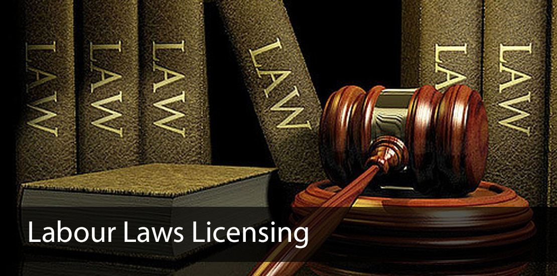 labour law licensing services