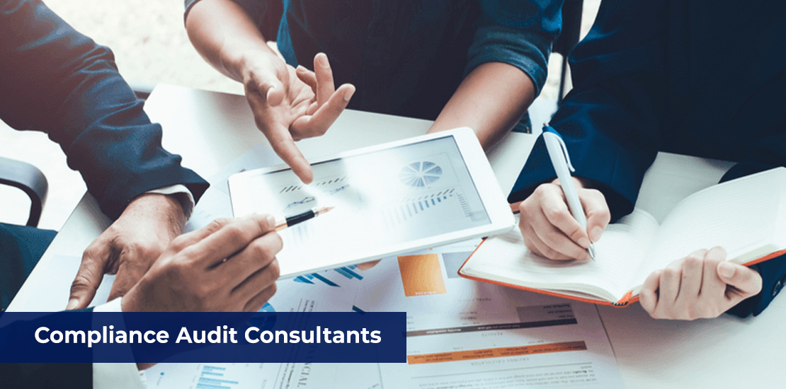 4. Compliance Audit Consultants