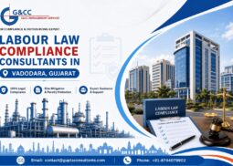 labour law consultant in Vadodara Gujrat