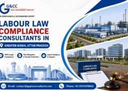 Labour Law Compliance Consultants in Greater Noida