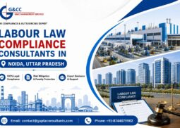 Labour Law Compliance Consultants in Noida, Uttar Pradesh